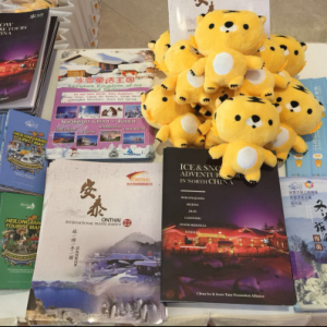 “北国冰雪”落地中南半岛，柬埔寨首现冰雪之冠