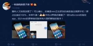 vivo全面屏手机再爆照 疑似100%屏占比