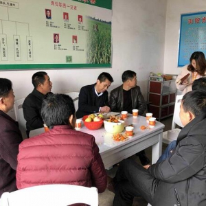 家边购发展“订单农业” 助推新型农业生产经营模式