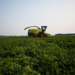 实力在列 蒙牛跻身2018农业产业化龙头企业500强TOP10