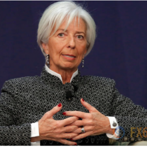 IMF主席拉加德：需全球共同合作，以保证加密资产安全