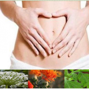 一款可以“艾蒸”的卫生巾，三和幻蝶获得国家专利局高度认可