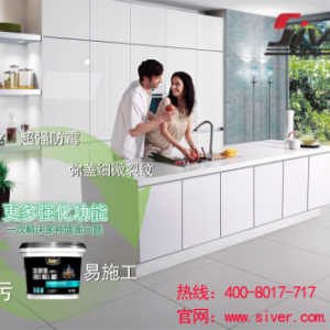 世威:艺术涂料项目发展三大优势，前景无限