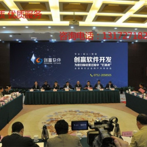 虚拟货币代币系统开发