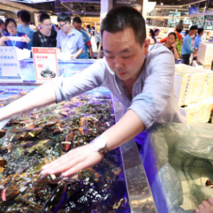 长假前一天，来武汉盒马看人山人海（主题）