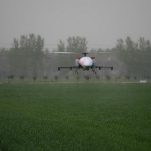 大国农匠之禾中为“中国种 世界粮”砥砺前进