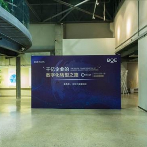 BOE PARK京东方健康园区邀业内大咖共话数字化转型
