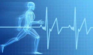 白学琴打造中国医药健康，期待您的入驻