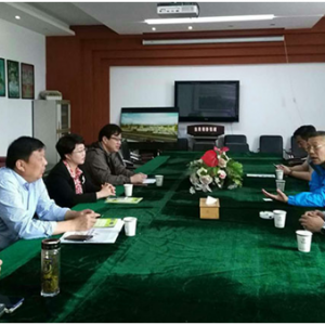 华侨城旅投公司总经理高宏会晤焦岗湖影视城董事长殷光衡