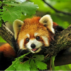 青岛新晋玩乐潮流场大搜罗，帮你完美填满整个酷暑！