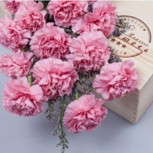 最贴心的母亲节礼物，赛普瑞斯不粘锅