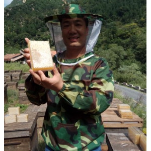 祝永东：坚守在秦岭大山深处的养蜂人