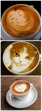 　　都市白领办公室必备品，咖啡！