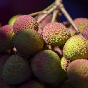 海口火山荔枝空前丰收，1.5亿斤怎么卖？农村淘宝携阿里新零售all in助力