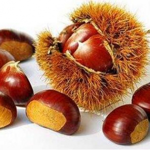 钢构老板张子才打造板栗商城，圆梦互联网+板栗行业