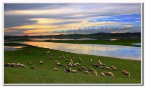 秦续芳打造呼伦贝尔食品商城，公信中国为平台保驾护航