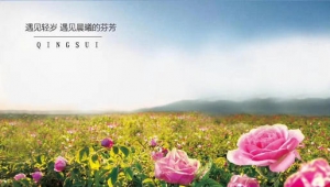 轻岁面膜再推火爆新品 轻岁8度补水面膜