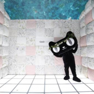 Zara Home天猫超级品牌日 消费升级时代的全新生活方式