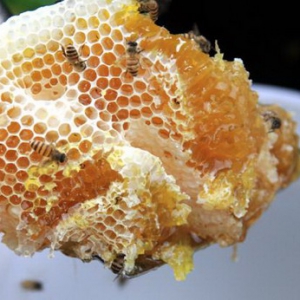 农村淘宝兴农扶贫战略再下一省 湖北20余县市有望实现“亩产一千美金”