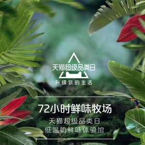 从隐性潮流到品类爆发，看天猫如何给低温奶升级带节奏