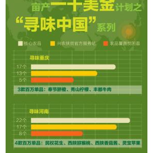 亩产一千美金计划助300余款农货进城 携手袁隆平团队推广“海水稻”