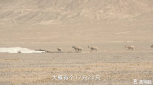 穿越阿尔金山无人区，《韩路游记》塑造顶级IP背后的秘籍