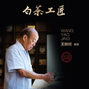 元正·福鼎白茶·启山|白茶工匠坚守六十年的慢艺术！