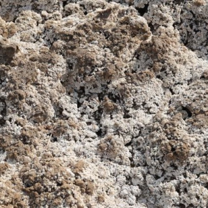 "望闻问切" 蒙草生态因地制宜，塞外粮仓换新颜