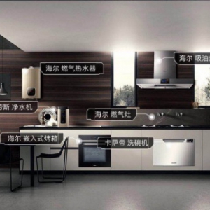 海尔大顺逛平台战略再升级 用极致服务创造用户终身价值