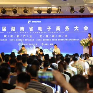 京东出席第七届湖南省电子商务大会
