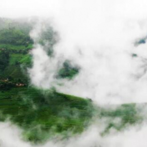 完美保健品：普洱茶里的健康之道