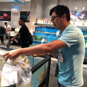 盒马西安首推便携“mini水族箱”配送 真正把鲜活送到用户家中