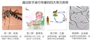 EARTH制药｜关于“防蚊虫”，你需要花点心思