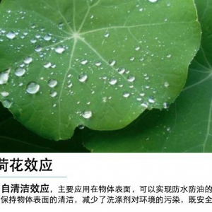 O-Quick清洁石圆梦纯净生活