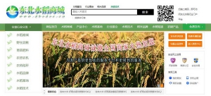 王立民打造东北水稻商城，开启农业新时代