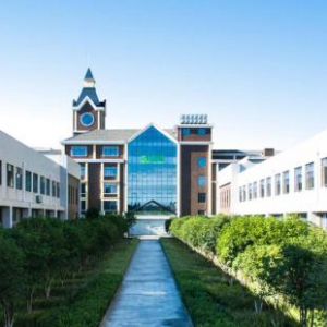 跃莱的经营哲学：把对的事情做对