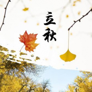 转眼立秋到，赛普瑞斯不粘锅帮你贴秋膘