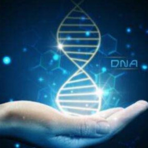 零门槛加入未来风口 羿美健康管理基因检测对外招商