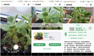 识花草小程序全新改版上线，智能识花新玩法