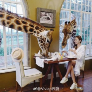 微博大V【vivian云蔚】她，活出了人们梦想中的样子