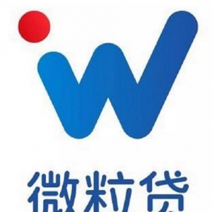 众多人借贷的首选--微粒贷