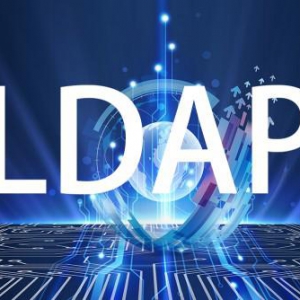 引领企业信息化，艾舜杰助力海信集团Oracle LDAP日本节点实施