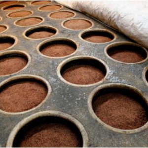 巴拿马万国博览会甲等金奖得主衡水老白干再现百年辉煌