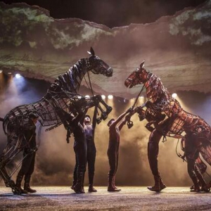 赛普瑞斯携手大麦网，推出《战马》看剧送锅优惠活动