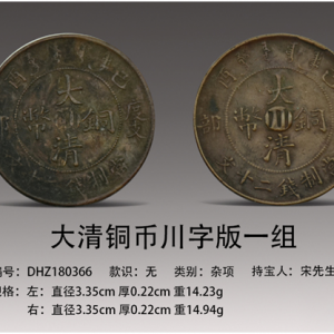 广州德鸿：大清铜币川字版价值高涨，宋先生寻买家转手