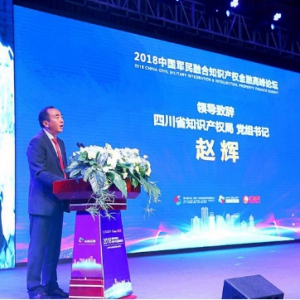 赵辉：知识产权引领经济发展