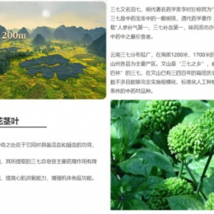 优爸效果怎么样?优爸公司官网