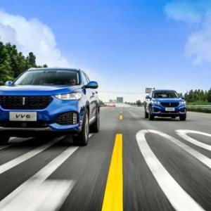 逆势扩张，WEY缘何吸引众多优质渠道商？