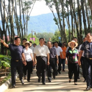 海南省政协主席毛万春率政协调研团莅临中合集团考察调研