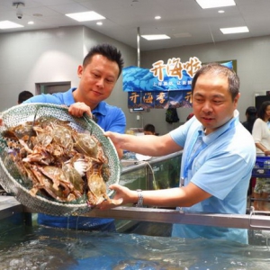 盒马、菜鸟入选国家级试点  阿里新零售新物流引领供应链创新